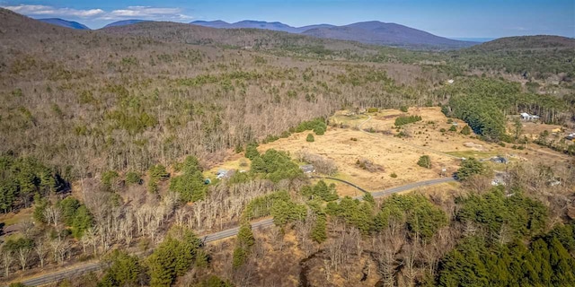 626 Wittenberg Rd, Bearsville, NY 12409 - photo 33