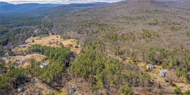 626 Wittenberg Rd, Bearsville, NY 12409 - photo 22