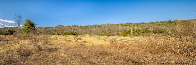 626 Wittenberg Rd, Bearsville, NY 12409 - photo 26