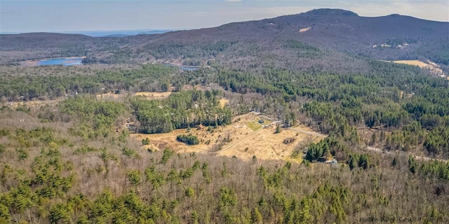 626 Wittenberg Rd, Bearsville, NY 12409 - photo 12