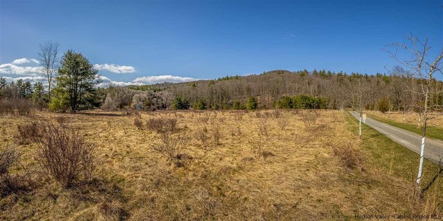 626 Wittenberg Rd, Bearsville, NY 12409 - photo 27