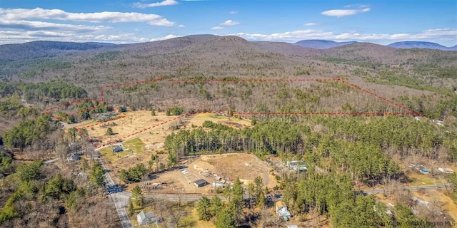 626 Wittenberg Rd, Bearsville, NY 12409 - photo 35