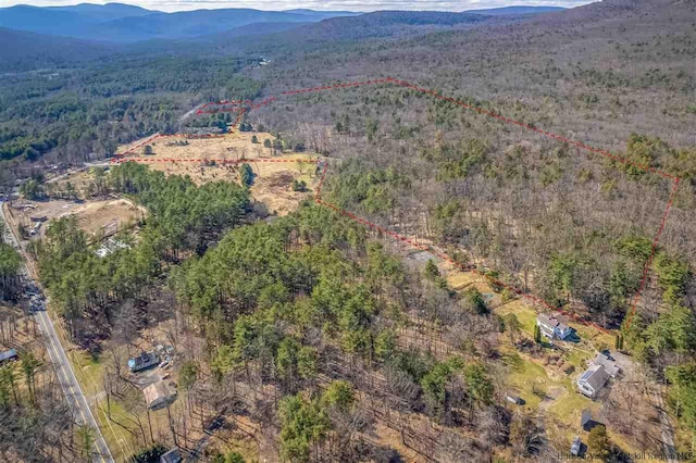 626 Wittenberg Rd, Bearsville, NY 12409 - photo 21