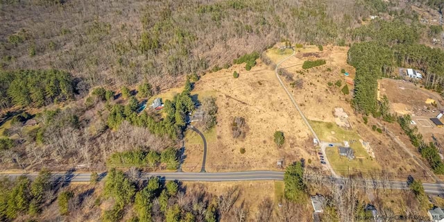 626 Wittenberg Rd, Bearsville, NY 12409 - photo 24