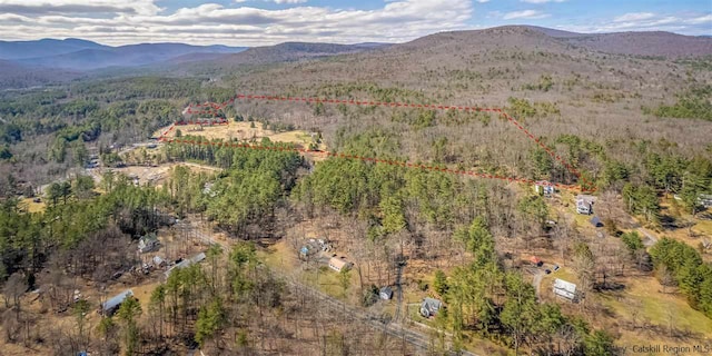 626 Wittenberg Rd, Bearsville, NY 12409 - photo 6