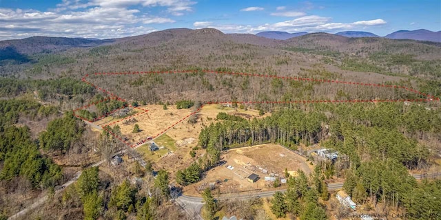 626 Wittenberg Rd, Bearsville, NY 12409 - photo 1