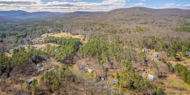626 Wittenberg Rd, Bearsville, NY 12409 - photo 5