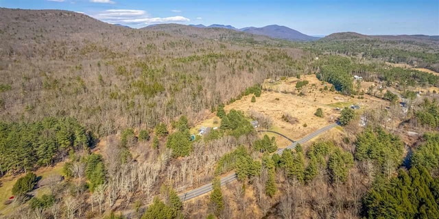 626 Wittenberg Rd, Bearsville, NY 12409 - photo 7