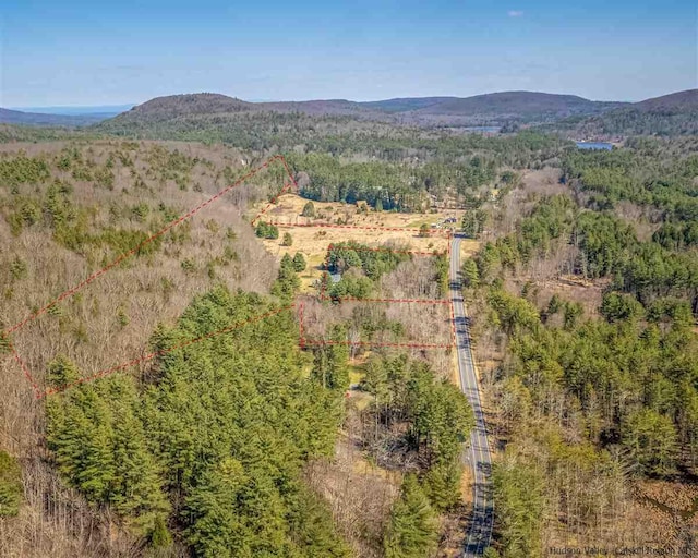 626 Wittenberg Rd, Bearsville, NY 12409 - photo 11