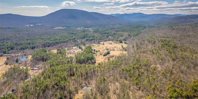 626 Wittenberg Rd, Bearsville, NY 12409 - photo 14