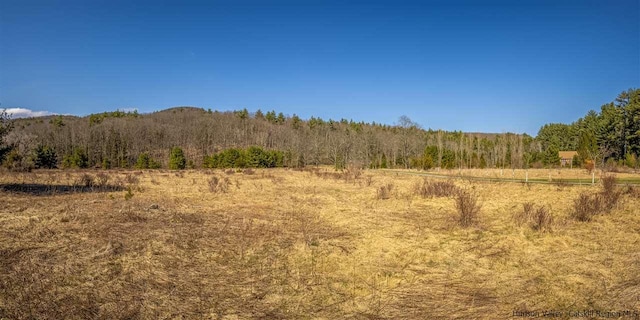 626 Wittenberg Rd, Bearsville, NY 12409 - photo 28