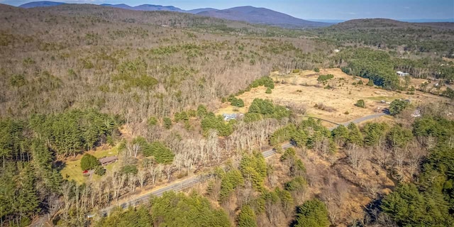 626 Wittenberg Rd, Bearsville, NY 12409 - photo 31