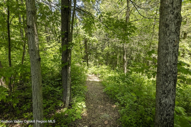82 Near Rd, Red Hook, NY 12571 - view of wooded area