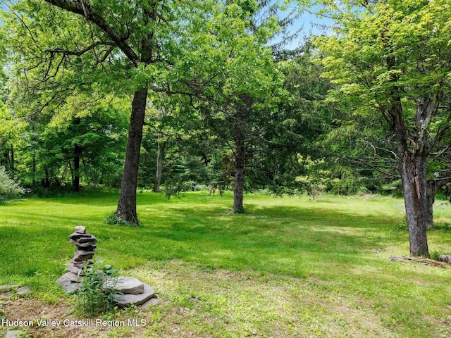 37 Marys Ln, Stone Ridge, NY 12484 - photo 26