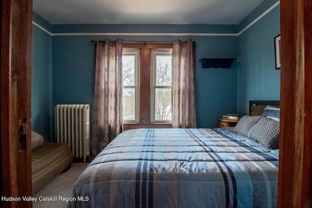 22 Hill St, Napanoch, NY 12458 - bedroom featuring radiator heating unit and carpet floors