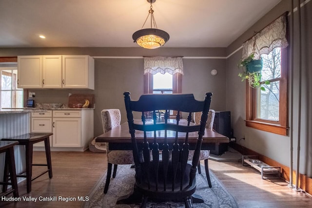 22 Hill St, Napanoch, NY 12458 - dining room featuring light wood finished floors and recessed lighting