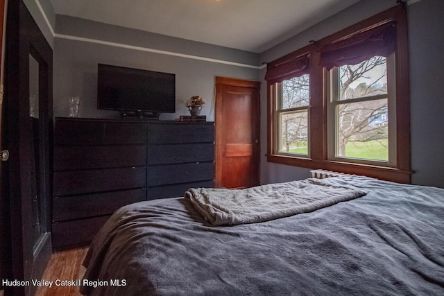 22 Hill St, Napanoch, NY 12458 - bedroom with wood finished floors