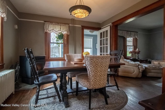 22 Hill St, Napanoch, NY 12458 - dining space with radiator, plenty of natural light, and hardwood / wood-style floors