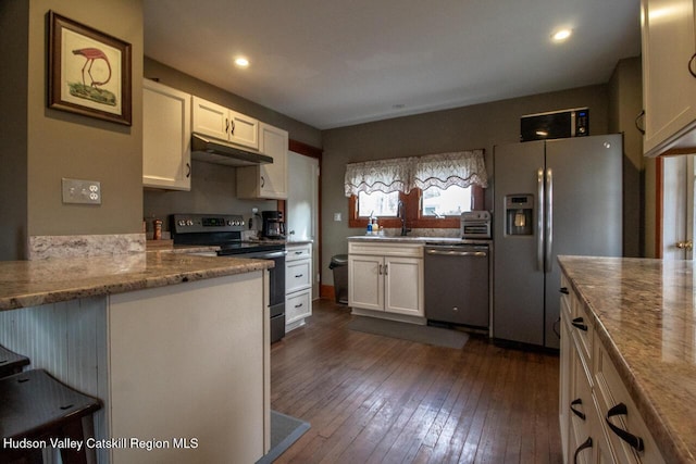 22 Hill St, Napanoch, NY 12458 - kitchen featuring appliances with stainless steel finishes, under cabinet range hood, white cabinetry, dark wood-style flooring, and recessed lighting