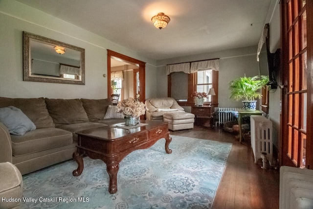 22 Hill St, Napanoch, NY 12458 - living room with radiator and wood finished floors