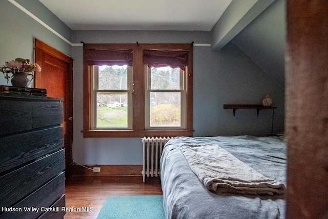 22 Hill St, Napanoch, NY 12458 - bedroom with radiator and wood finished floors
