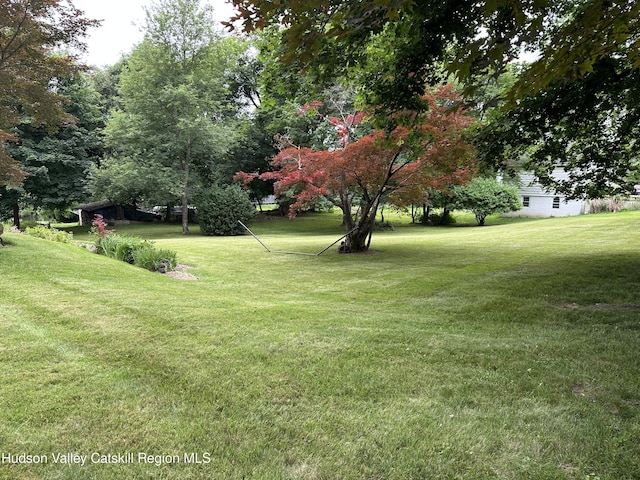 22 Hill St, Napanoch, NY 12458 - view of green lawn