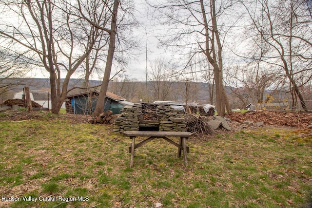22 Hill St, Napanoch, NY 12458 - view of yard