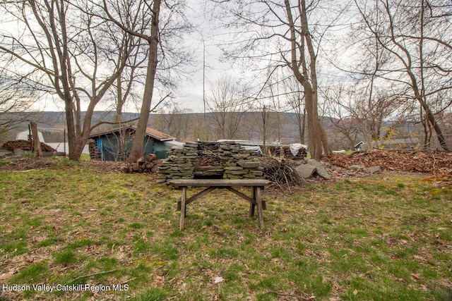 22 Hill St, Napanoch, NY 12458 - view of yard