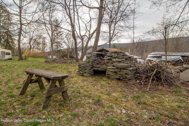 22 Hill St, Napanoch, NY 12458 - view of grassy yard