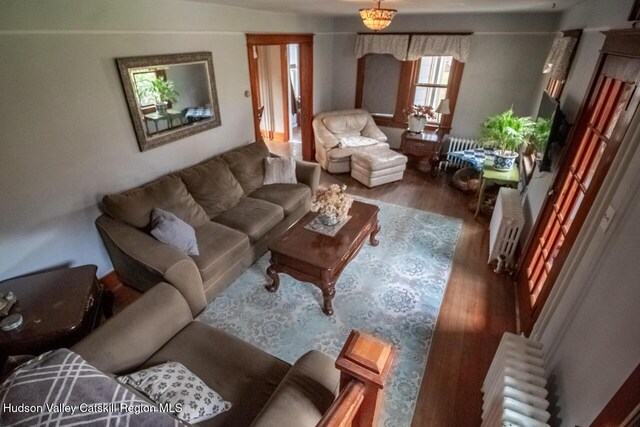 22 Hill St, Napanoch, NY 12458 - living room featuring wood finished floors and radiator heating unit