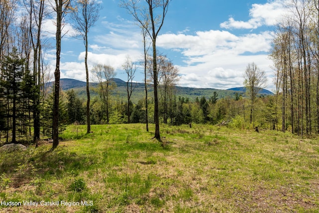 TBD1 Legg Rd, Hunter NY, 12442 land for sale