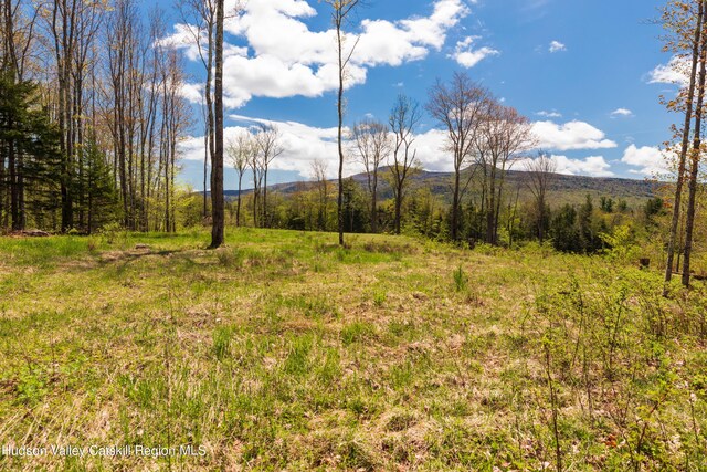 TBD1 Legg Rd, Hunter, NY 12442 - photo 4