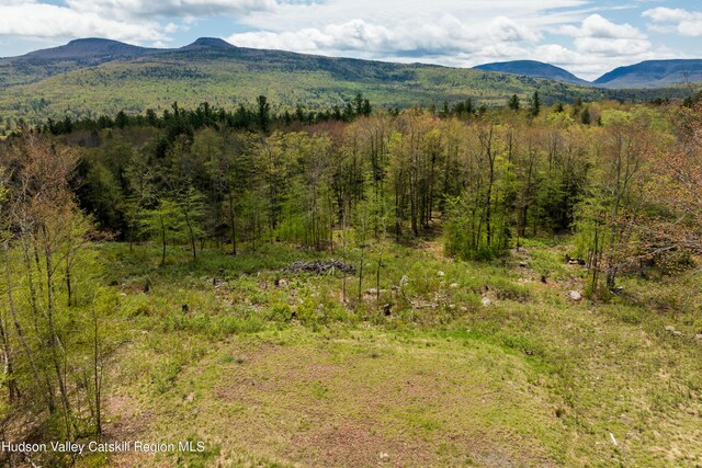 Listing photo 2 for TBD1 Legg Rd, Hunter NY 12442