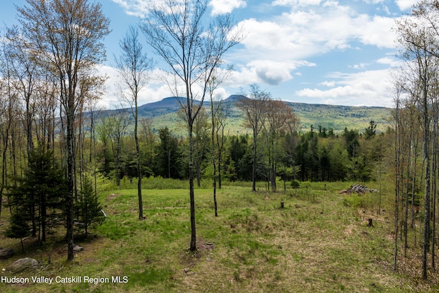 TBD1 Legg Rd, Hunter, NY 12442 - photo 5