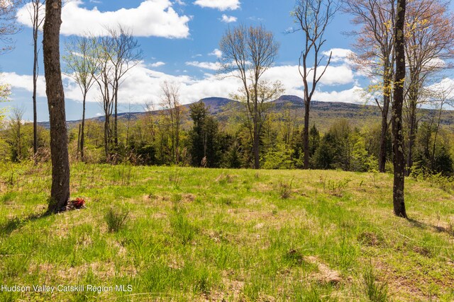 Listing photo 3 for TBD1 Legg Rd, Hunter NY 12442