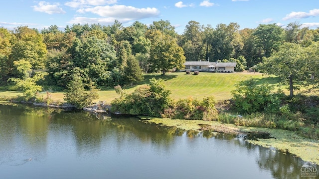 46 Fox Ln, Catskill, NY 12015 - aerial view of property and surrounding area with a large body of water and a forest