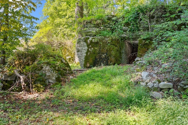 46 Fox Ln, Catskill, NY 12015 - view of undeveloped land