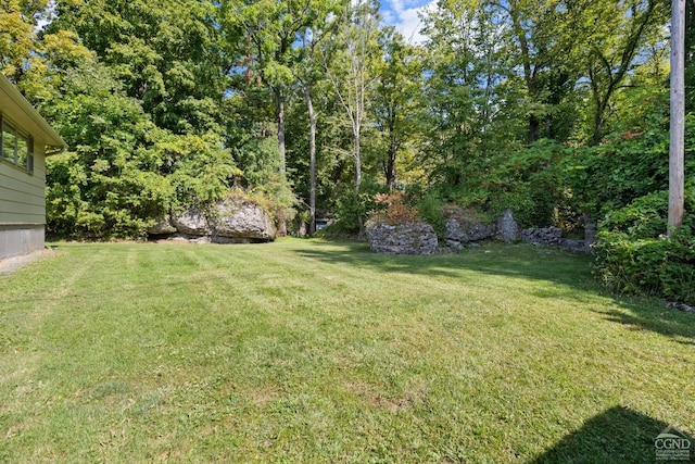 46 Fox Ln, Catskill, NY 12015 - view of grassy yard