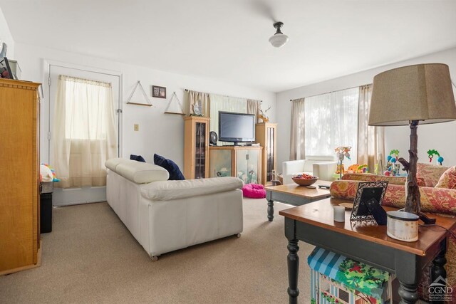 7951 State Route 22, Copake, NY 12516 - living area featuring light colored carpet