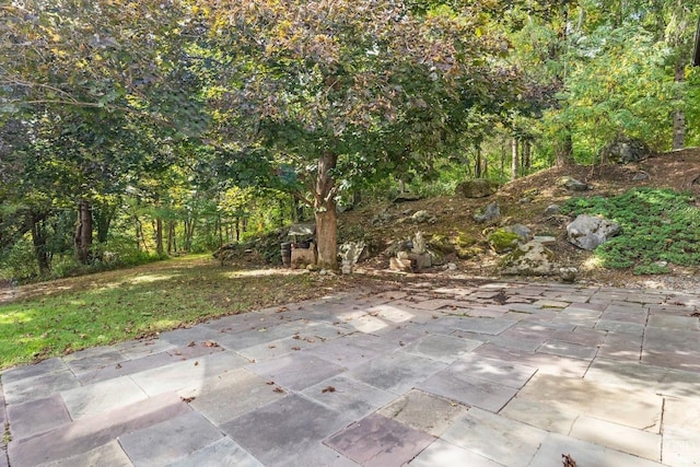 7951 State Route 22, Copake, NY 12516 - view of patio