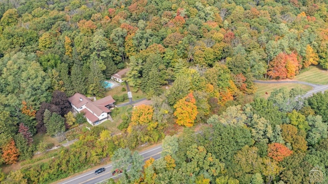 7951 State Route 22, Copake, NY 12516 - aerial view of property and surrounding area featuring a forest
