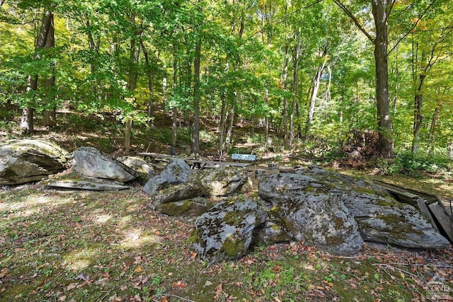 7951 State Route 22, Copake, NY 12516 - view of wooded area
