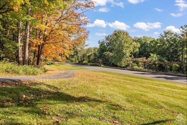 7951 State Route 22, Copake, NY 12516 - view of community with a yard