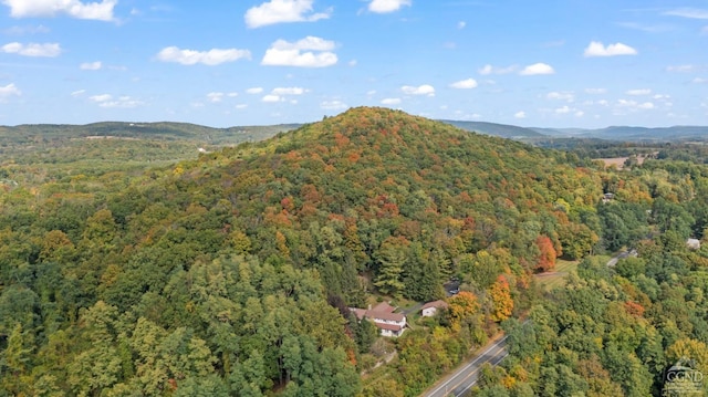 7951 State Route 22, Copake, NY 12516 - drone / aerial view of a heavily wooded area and a mountain backdrop