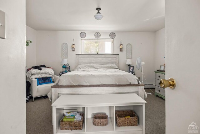 7951 State Route 22, Copake, NY 12516 - carpeted bedroom with baseboard heating