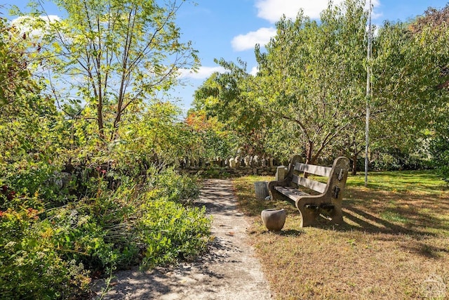 7951 State Route 22, Copake, NY 12516 - view of home's community