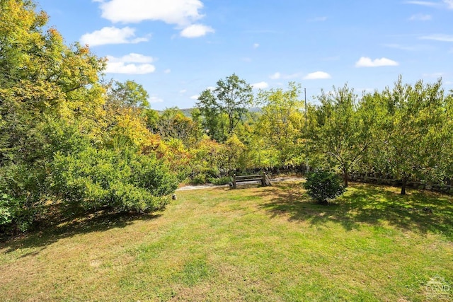 7951 State Route 22, Copake, NY 12516 - view of green lawn featuring a wooded view