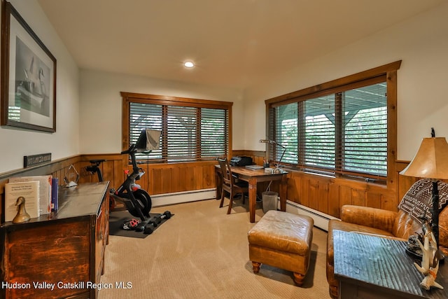 22 Club Rd, Windham, NY 12496 - photo 33