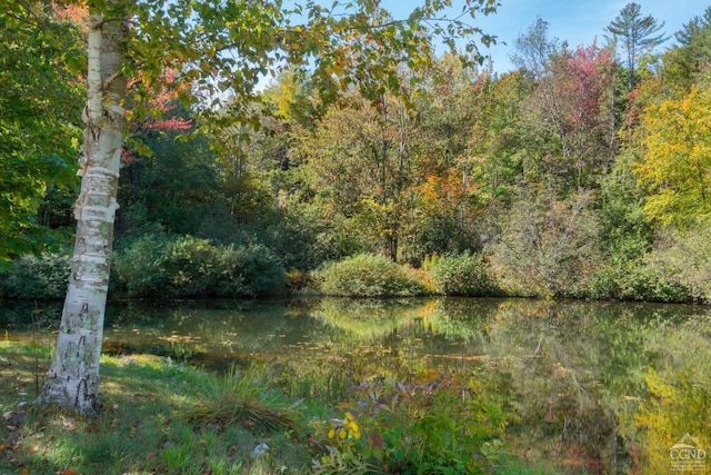 2205 County Route 5, Canaan, NY 12029 - view of woods with a water view
