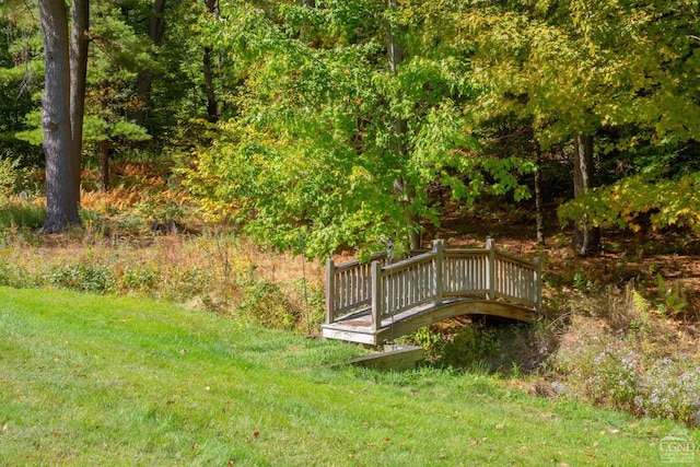 2205 County Route 5, Canaan, NY 12029 - view of green lawn